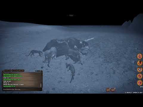 animalia: elder lion gameplay with friends