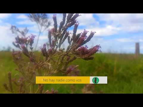 NHNCV 24-02-2026. Programa completo.