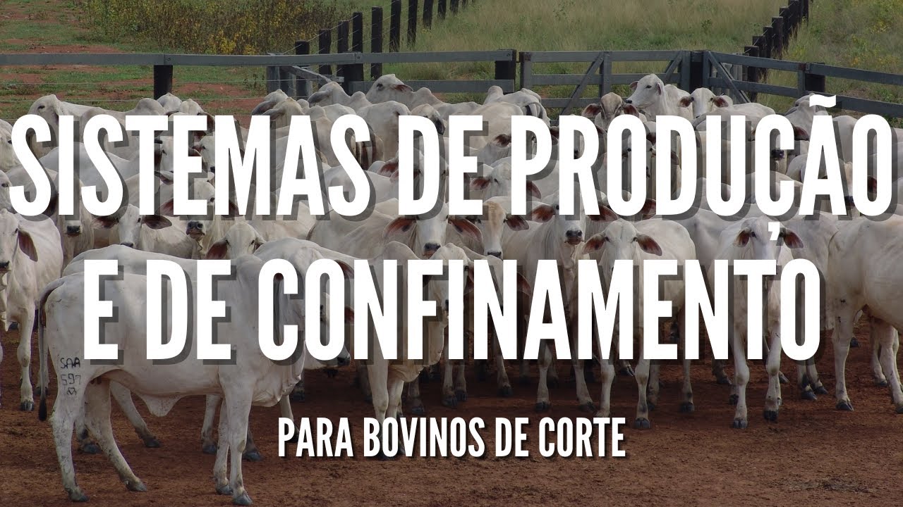 Sistemas de produção e de confinamento para BOVINOS DE CORTE | BOVINOCULTURA DE CORTE