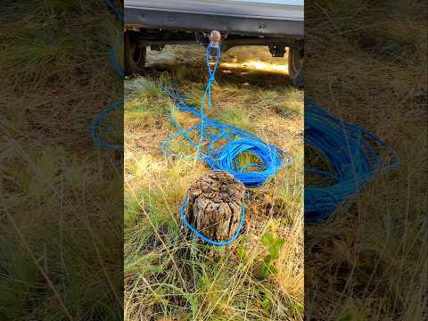 Unexpected Car - Removing Tree Stump #funnyvideo # #automobile #carvideos #4x4