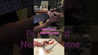 Pink Floyd -  Nobody Home #pinkfloydcover #acousticguitar #pinkfloydnobodyhome #pinkfloydthewall