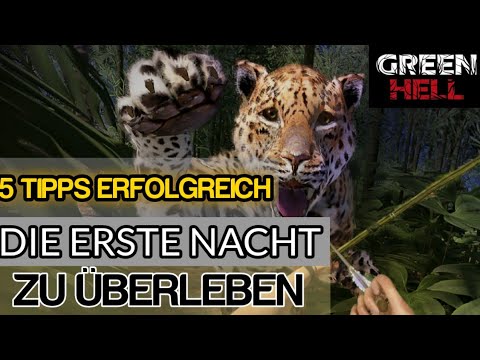 Green Hell Gameplay Deutsch Tipps| Anfängerguide~ICH WERDE SCHWER VERLETZT~(Grundlagen lernen)#013