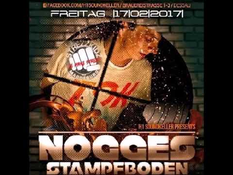 Nogge *LiVE* @ H1 Soundkeller Brauerei Dessau Nogges Stampfboden (17.02.2017)