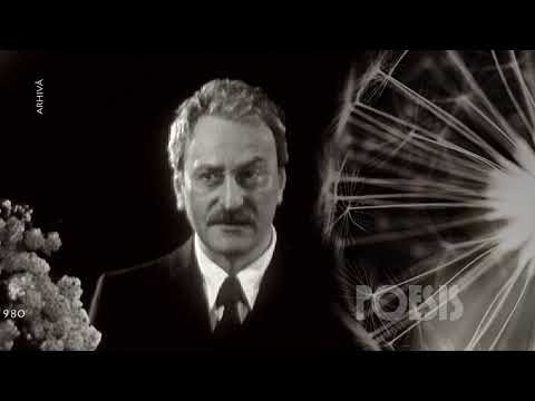 Amza Pellea - Răscruce