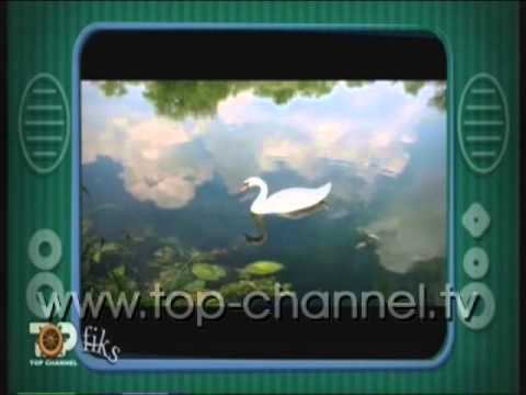 Fiks Fare, 7 Nentor 2014, Pjesa 3 - Investigative Satirical Show