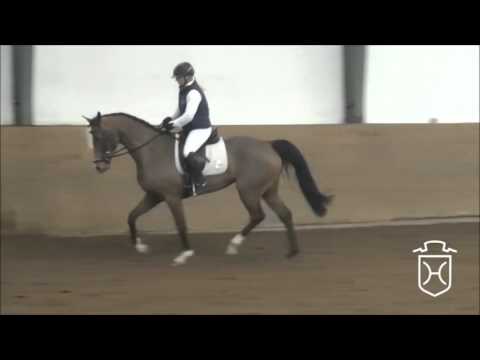 3j. Stute Lordanos - Cassini I - Lavall II