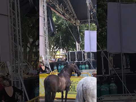 Fiestas de la #colacion #supia #caldas #colombia