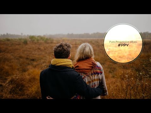 Pure Progressive Vibes #13L