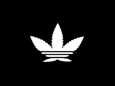 legalize sage shabbz - e na verdade