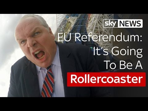 Decision Time: In Or Out?