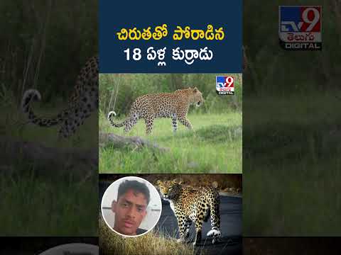 చిరుతతో పోరాడిన 18 ఏళ్ల కుర్రాడు - TV9