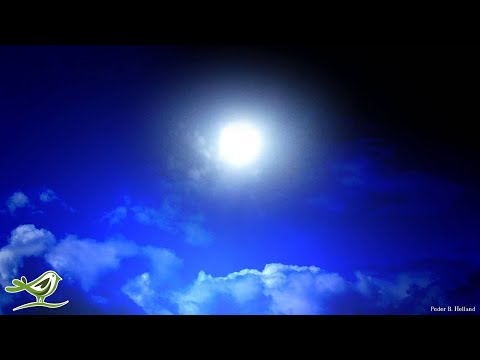 1 Hour of Relaxing Music Box | Sleep Music Instrumental