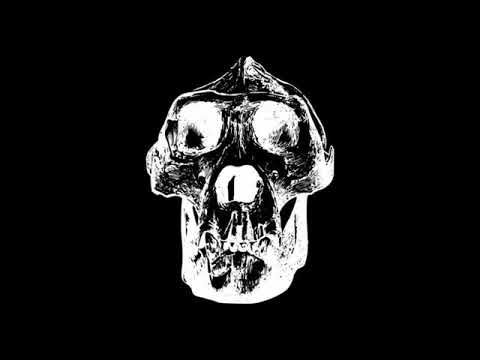 Vanilla Gorilla Rap - KronkMonk