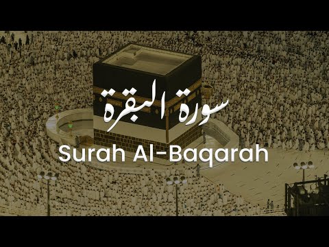 سورة البقرة للشيخ علي البراق | المصحف المرتل
