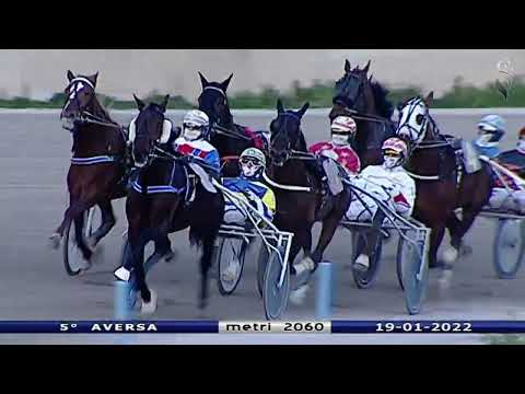 Aversa trotto 19 Gennaio 2022 - 5° Corsa