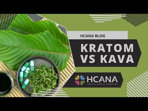 HCANA Blog: Kratom Vs Kava
