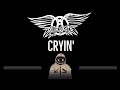 Aerosmith • Cryin (CC) 🎤 [Karaoke] [Instrumental Lyrics]