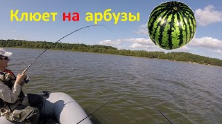 Брик отчеты о рыбалке людвиново