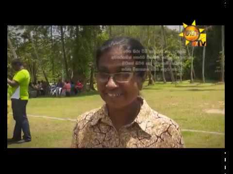 Hiru TV