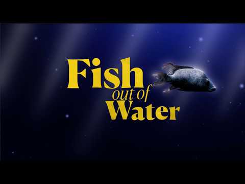 Fish Out of Water