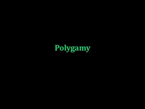 Appendix 30 — Polygamy