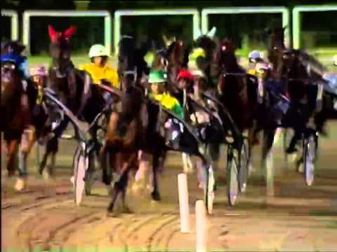 Trotto 22/06/2014 Corsa 9