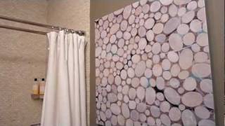 preview picture of video 'Roscoe Village (Chicago) Guest Bathroom Design Renovation'
