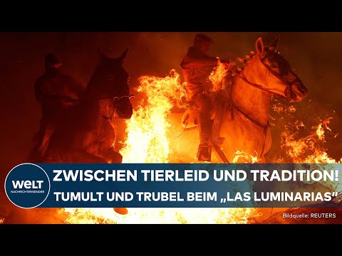 Video Thumbnail: SPANIEN: Tierquälerei oder Tradition? Jahrhunderte alter Spanischer Brauch "Las Luminarias"