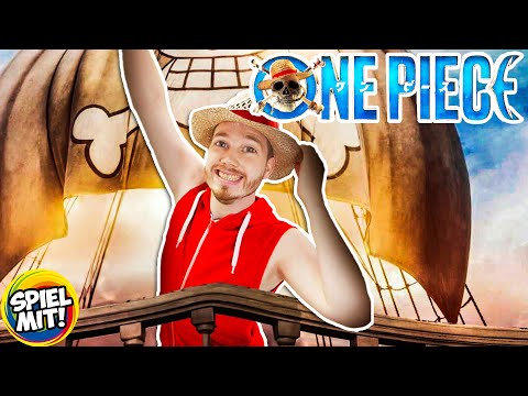 ONE PIECE auf WISH bestellt
