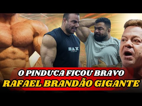 RAFAEL BRANDÃO ESTÁ GIGANTE, TREINO DE BRAÇO