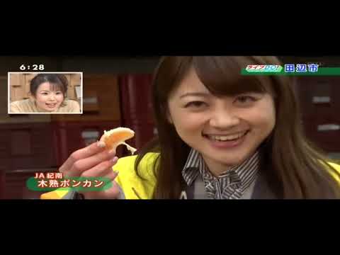 20180123JA紀南木熟ポンカン