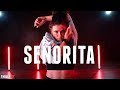 Shawn Mendes Camila Cabello Señorita Choreography By Erica Klein