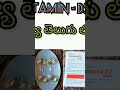 Vitamin D3 Review In Telugu Sree Pharma SRIKANTH DODDA