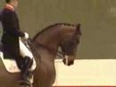 Dressage- Dance with Me (*contest winner for toufoum11*)