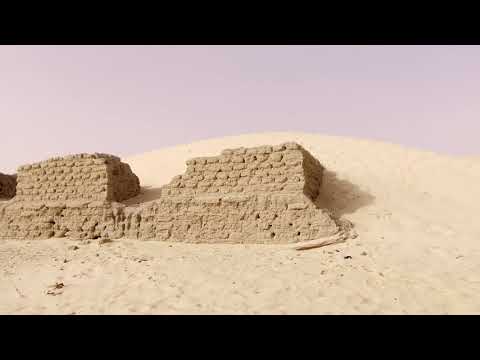 Les témoins de l'ombre