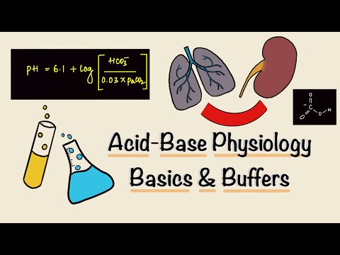 Acid Base Physiology | Part One | Basics | Buffers | Renal Physiology