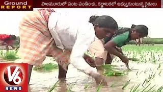 Ground Report | Thangidigi Farmers Illegal Farming at Krishna River Bank | Palamuru | V6 News