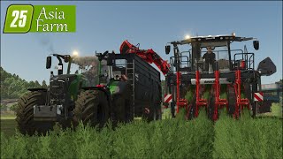 LS 25 Asia Farm #42 Gemüseernte im Zeitraffer