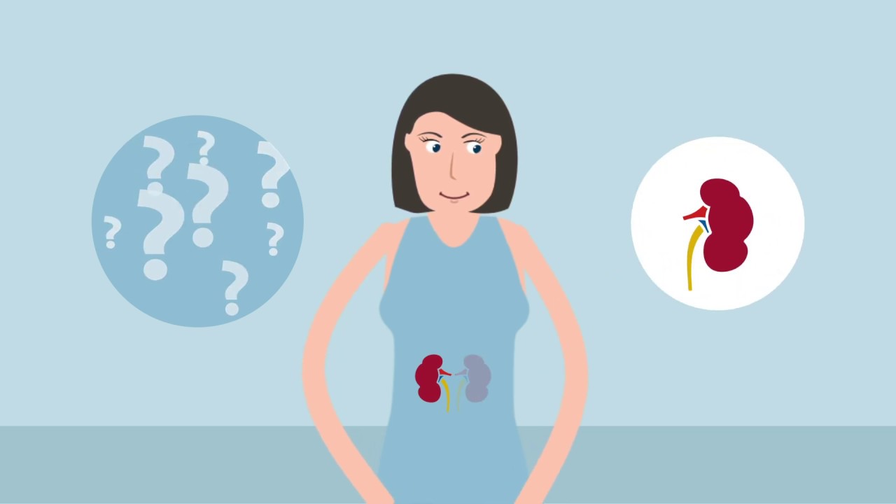 ¿Cómo es la vida con un riñón