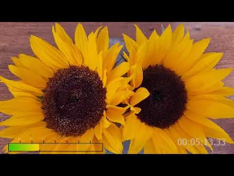 2023-10-29 30ter Liebe.mp3