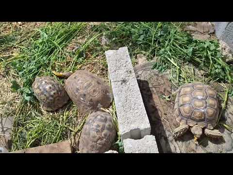 Nachts um 1 Aufregung Pur..💪 