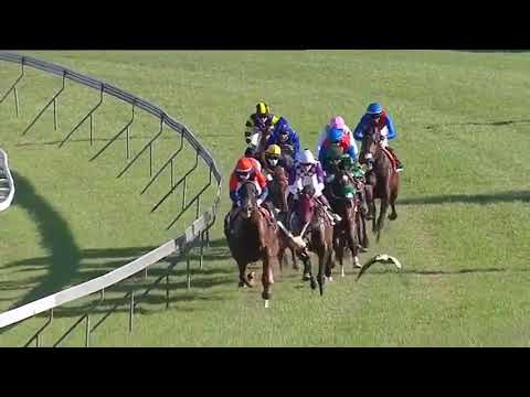 2021.05.02  World Sports Betting Guineas (RSA) - Linebacker