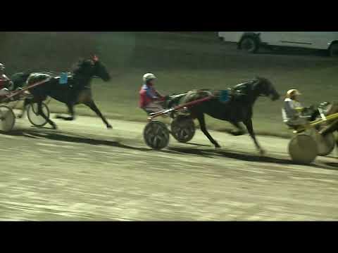 2021.11.27. 06. futam - MÉNESEK DÍJA (NÜL-X.)