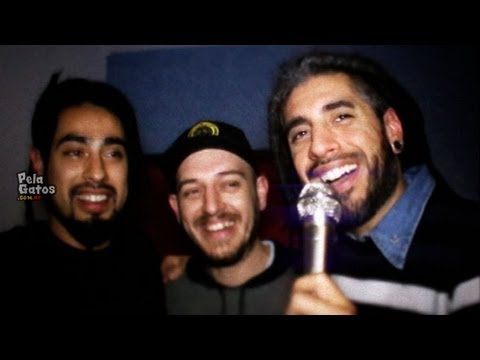 PelaGatos TV - Prog. 121