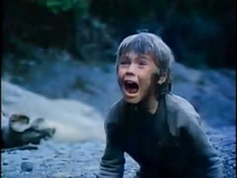 The Earthling 1980 Ricky Schroeder video 04