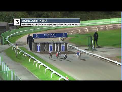 2020 WESTMEAD LEGACY FINAL - T3 AGINCOURT XENA