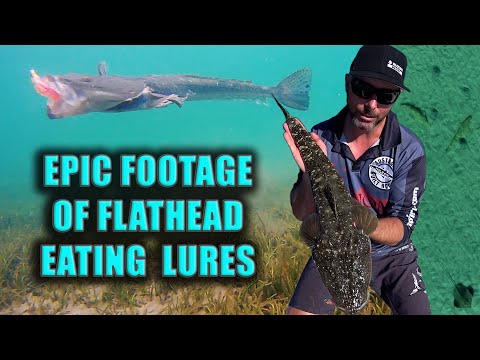 FLATHEAD EATS LURES on UNDERWATER & AERIAL DRONE | How to catch Flathead on the flats with plastics