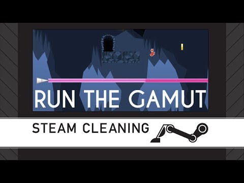 Steam Cleaning - Run The Gamut