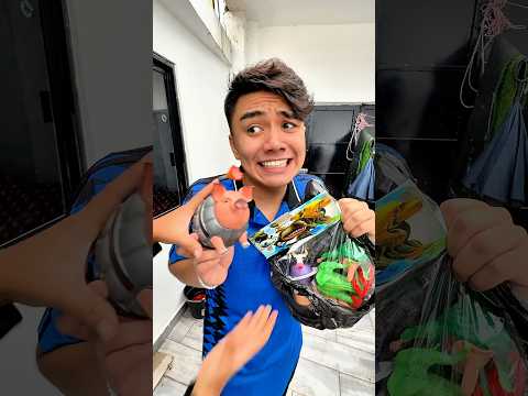 CAPUCHINA BALLERINA RUN OUT🥺😂🤷🏻‍♂️#shorts