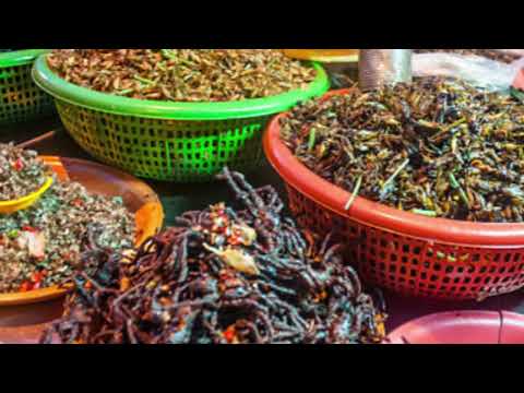 Jeas Cyclo Cambodian - Yol Aularong